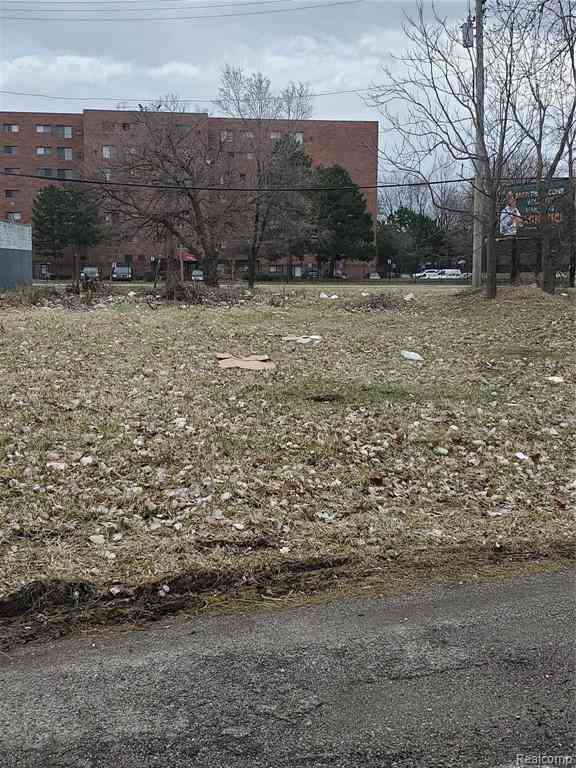 Vacant Land For Sale - 2527 Dubois  <br/> Detroit, MI 48207