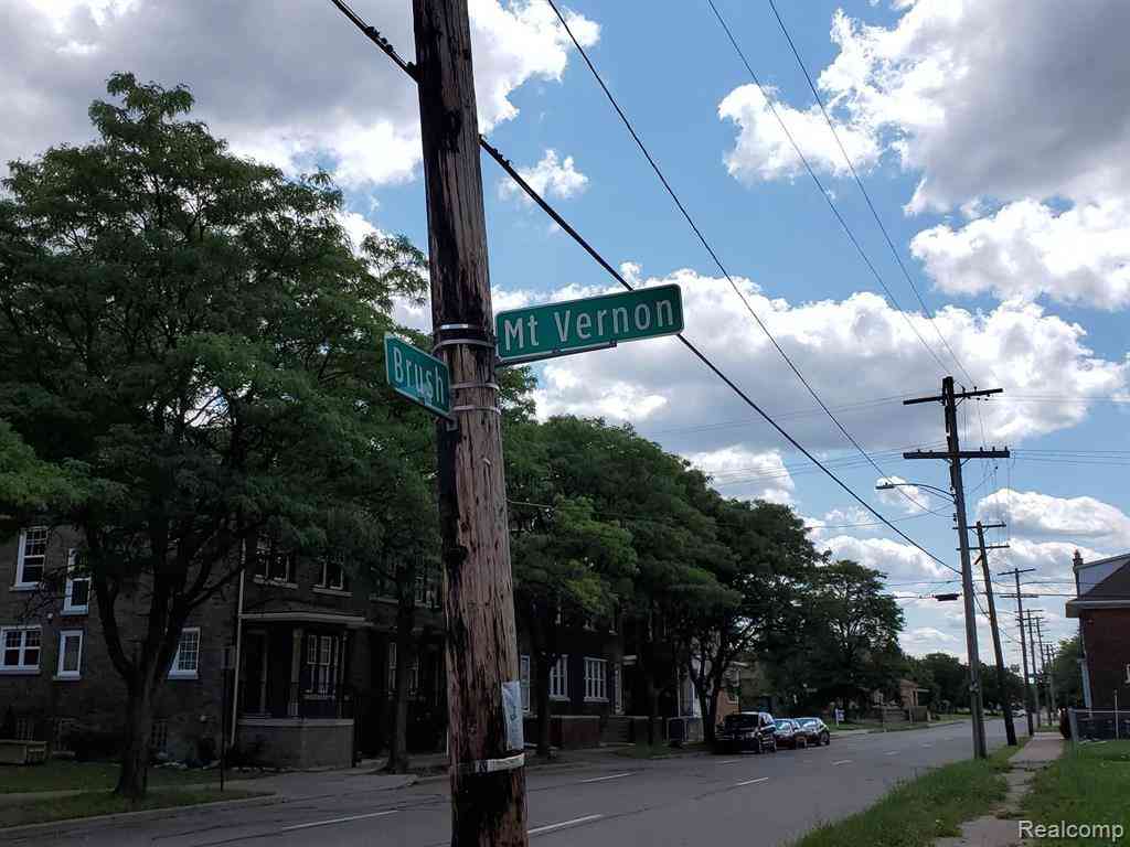 Vacant Land For Sale - 8261 Brush  <br/> Detroit, MI 48202
