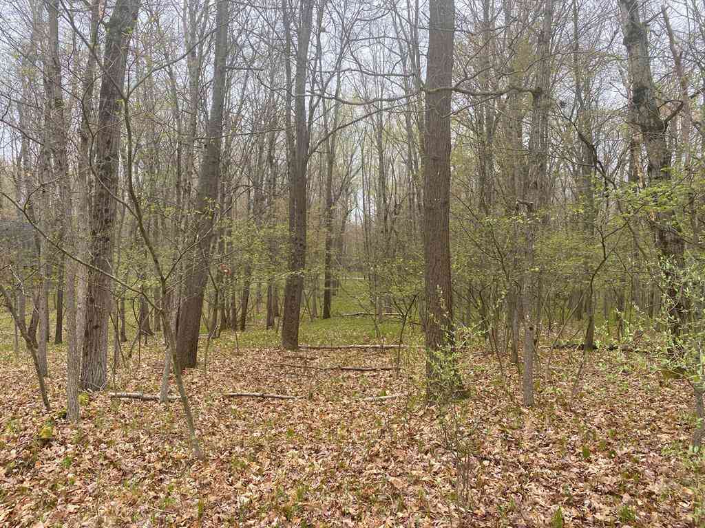 Vacant Land For Sale - 12075 Halifax Drive <br/> Canadian Lakes, MI 49346