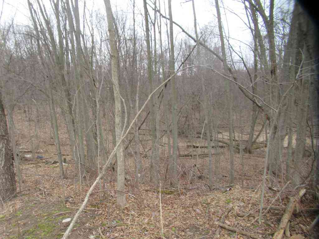 Vacant Land For Sale - Williamsville Street <br/> Cassopolis, MI 49031