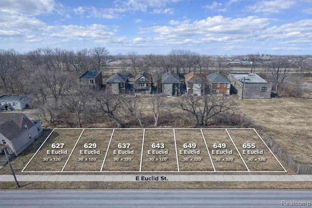 Vacant Land For Sale - 637 E Euclid Street <br/> Detroit, MI 48202