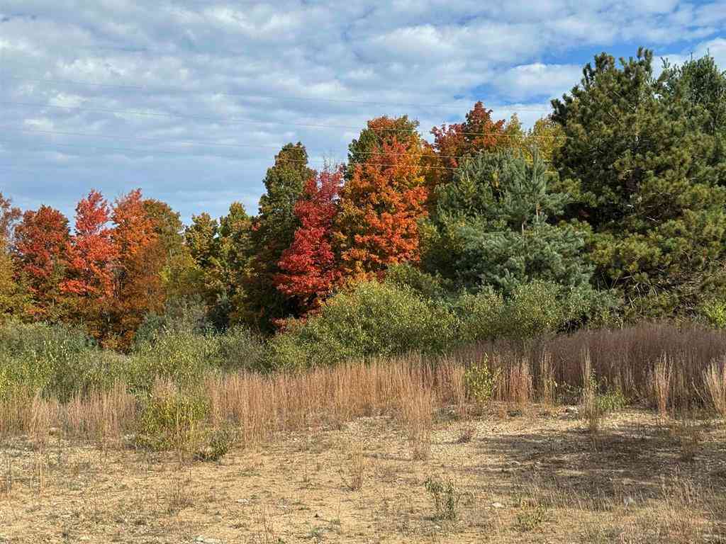 Vacant Land For Sale - 4.2 ACRES January Drive <br/> Traverse City, MI 49684
