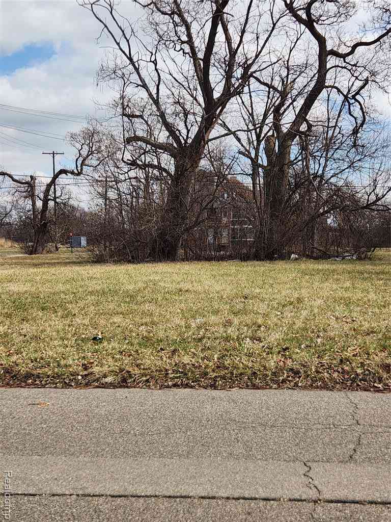 Vacant Land For Sale - 3978 16th Street <br/> Detroit, MI 48208