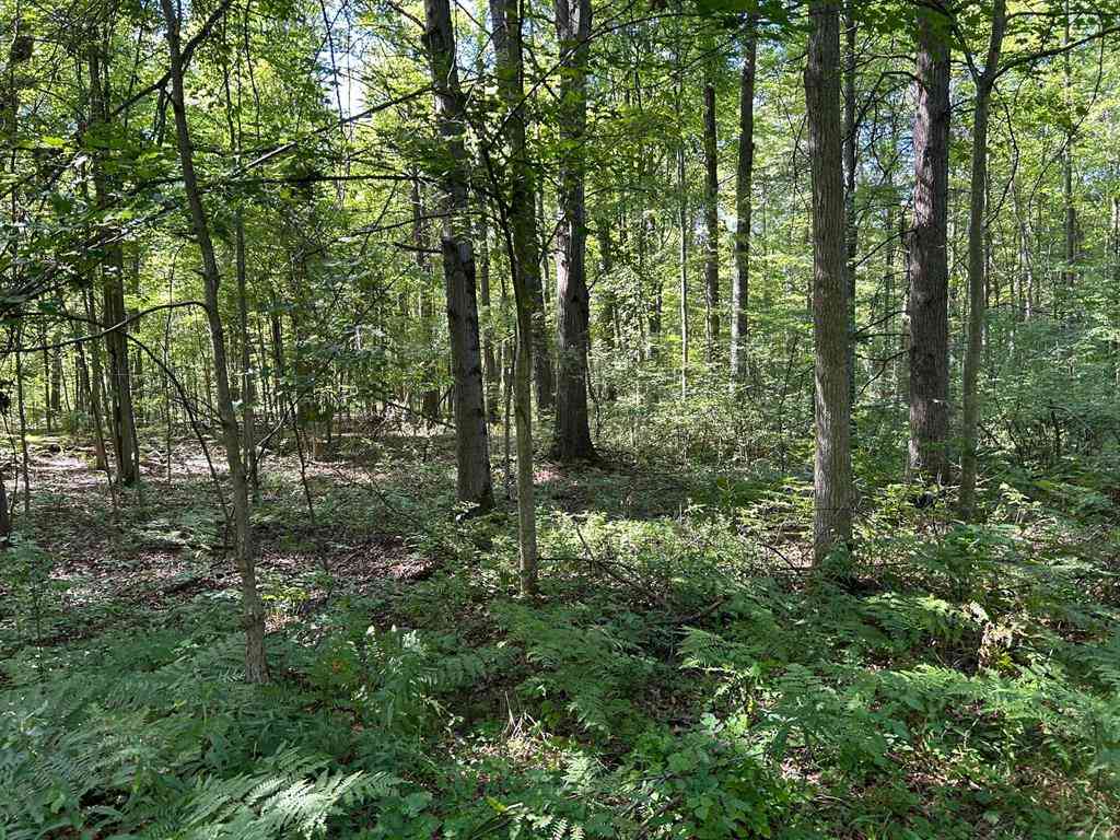 Vacant Land For Sale - 3250 W Isabella Road <br/> Midland County, Shepherd, MI 48883