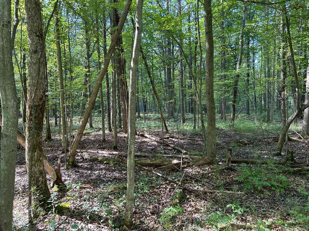 Vacant Land For Sale - 3100 W Isabella Road <br/> Midland County, Shepherd, MI 48883