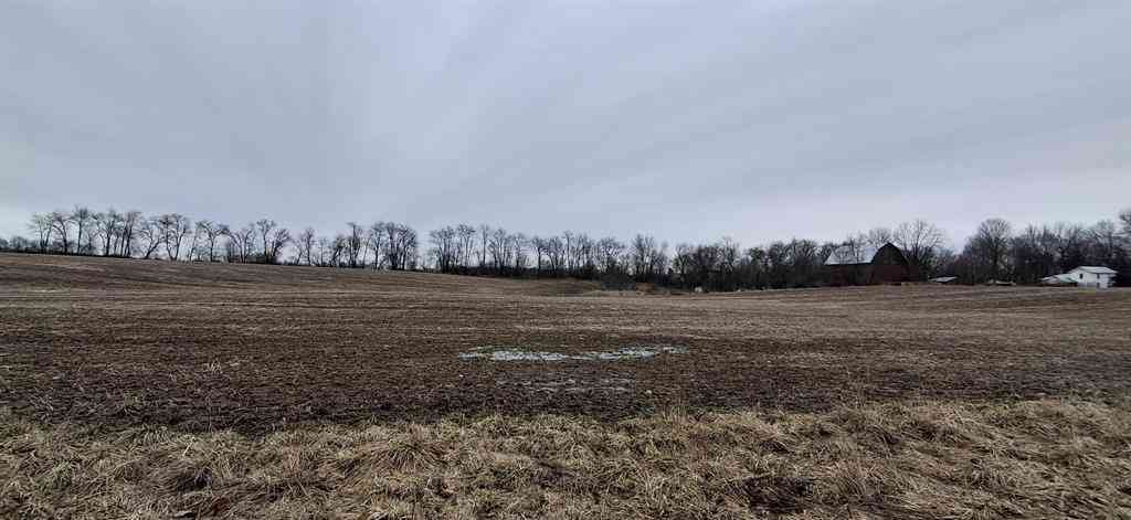 Vacant Land For Sale - V/L Janet Dr Parcel 3  <br/> Saranac, MI 48881