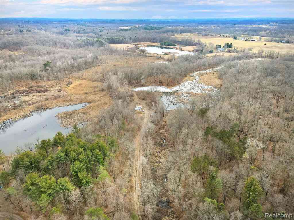 Vacant Land For Sale - Lovejoy Road <br/> Byron, MI 48418