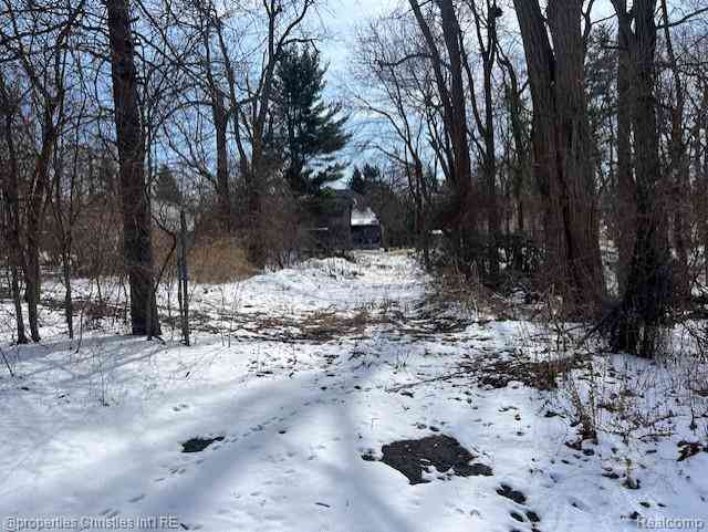 Vacant Land For Sale - 439 Alberta Street Lot 82  <br/> Auburn Hills, MI 48326