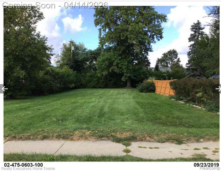 Vacant Land For Sale - 245 N Mary Street <br/> Allenton, MI 48039