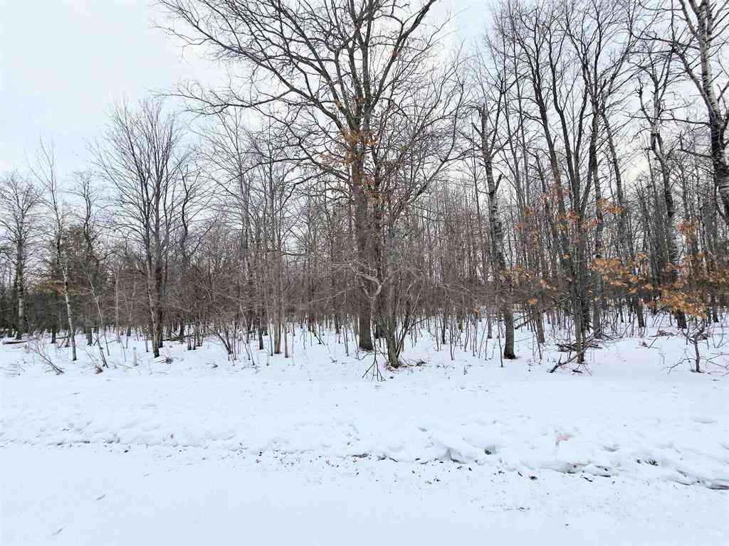 Vacant Land For Sale - 7 Fairway Court <br/> Grayling, MI 49738