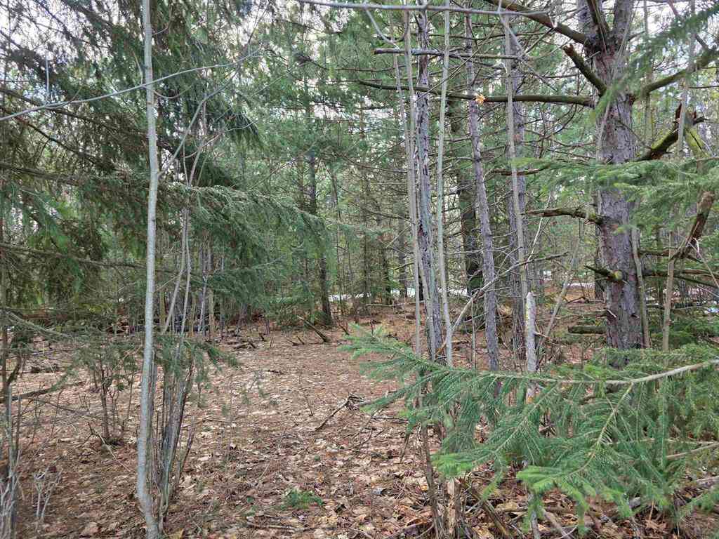 Vacant Land For Sale - 0001 Cedar River Road <br/> Mancelona, MI 49659