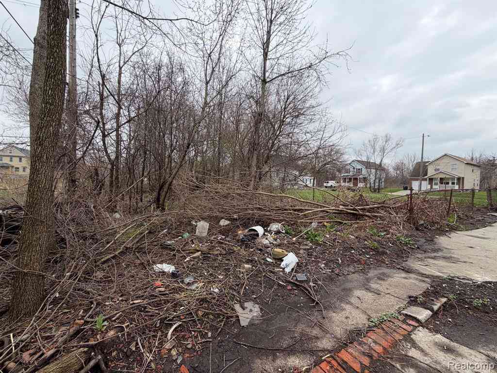 Vacant Land For Sale - 2540 W Forest Avenue <br/> Detroit, MI 48208