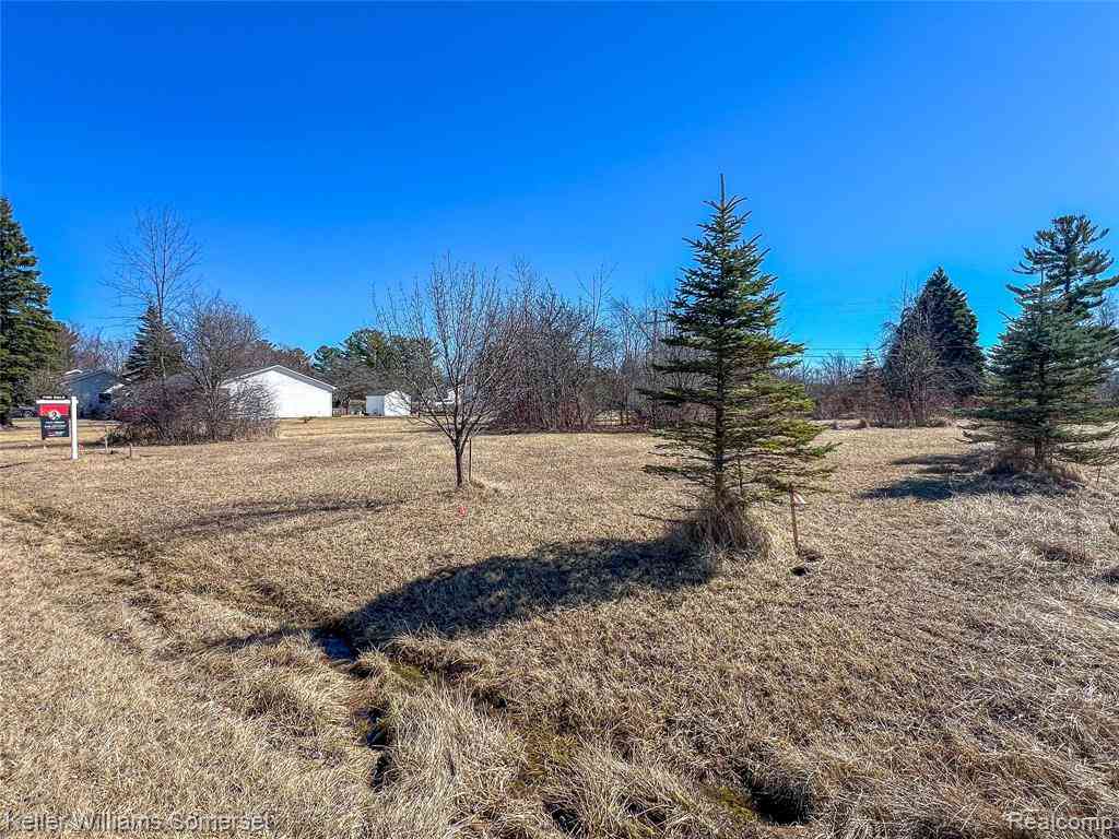 Vacant Land For Sale - LOTS 14 & 15 Chippewa Trail  <br/> Lexington, MI 48450