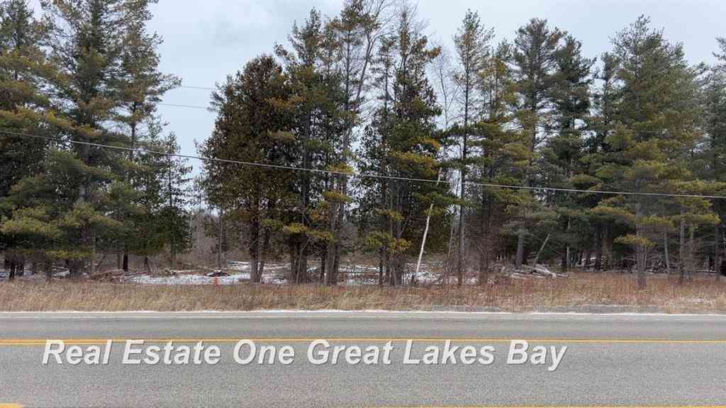 Vacant Land For Sale - M-55 Highway <br/> Tawas City, MI 48763