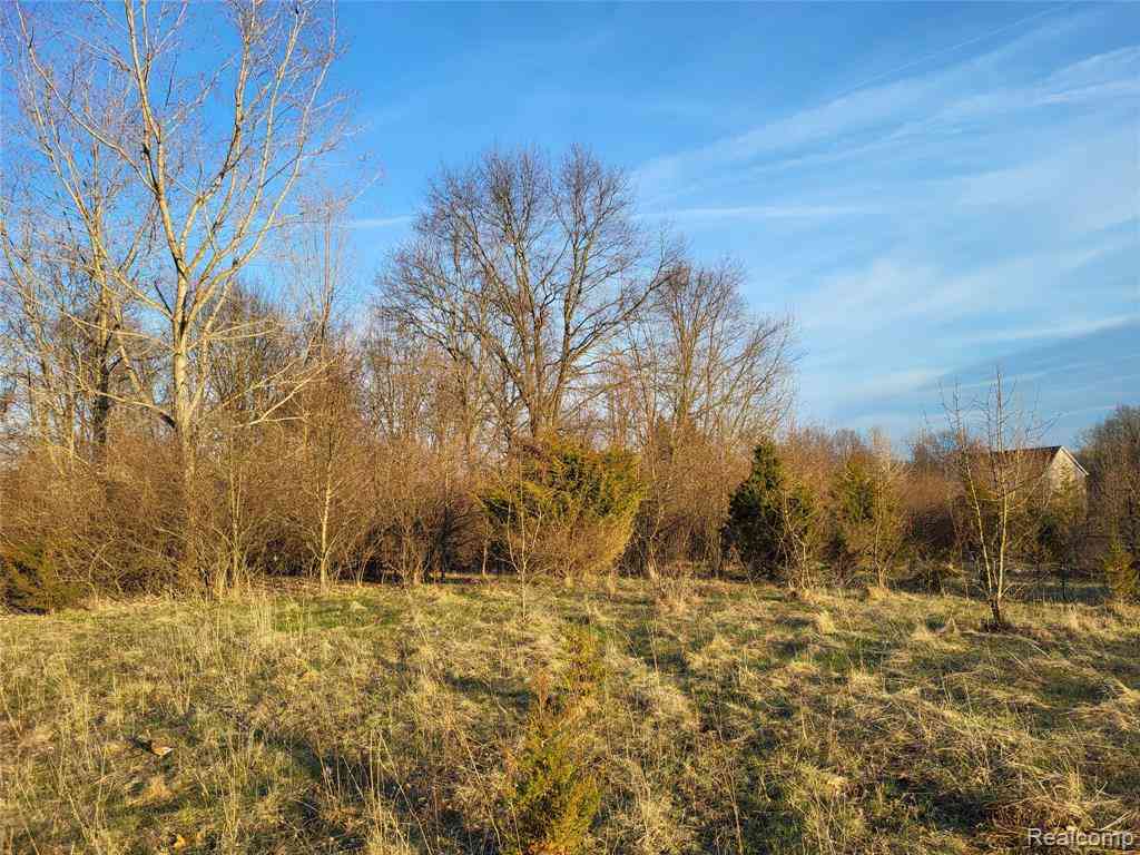 Vacant Land For Sale - TBD PARCEL B Olivia Drive <br/> Oakland County, Milford, MI 48380