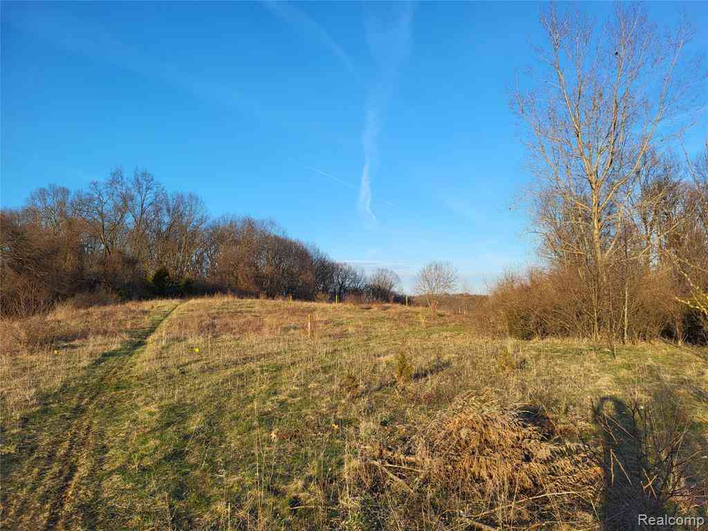 Vacant Land For Sale - TBD PARCEL C Olivia Drive <br/> Oakland County, Milford, MI 48380