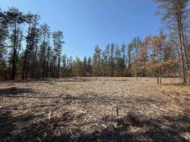 Vacant Land For Sale - 5209 S Nelson Road <br/> Idlewild, MI 49642