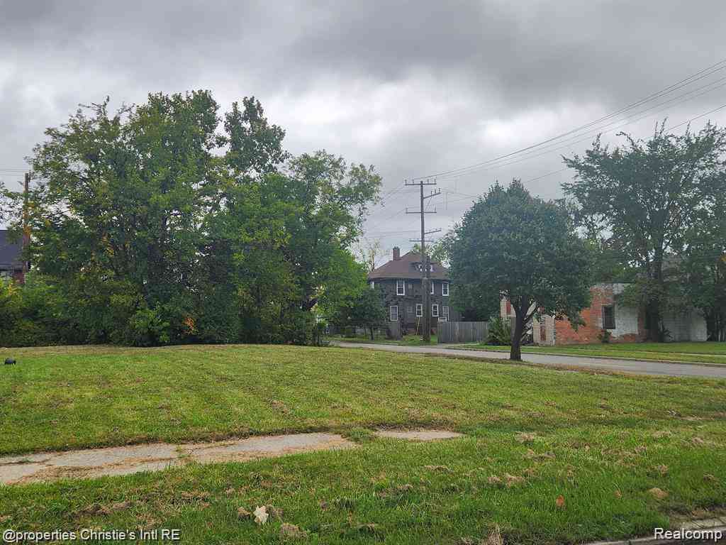 Vacant Land For Sale - 455 E Euclid Street <br/> Detroit, MI 48202