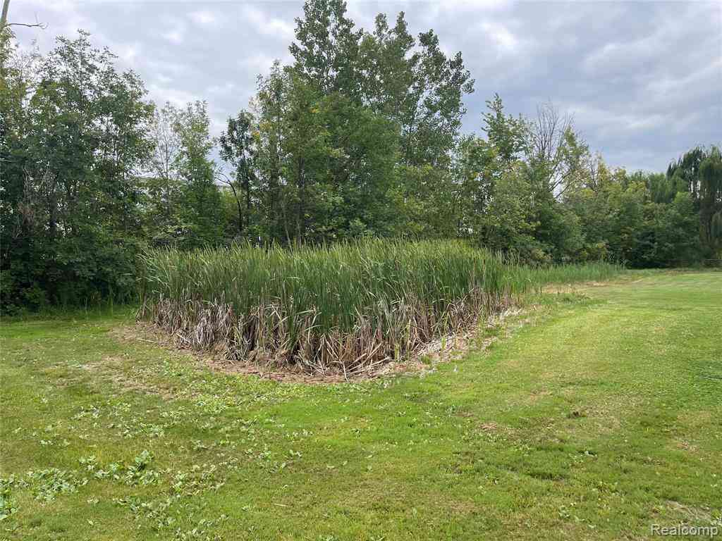 Vacant Land For Sale - 11401 Polk Street <br/> Taylor, MI 48180