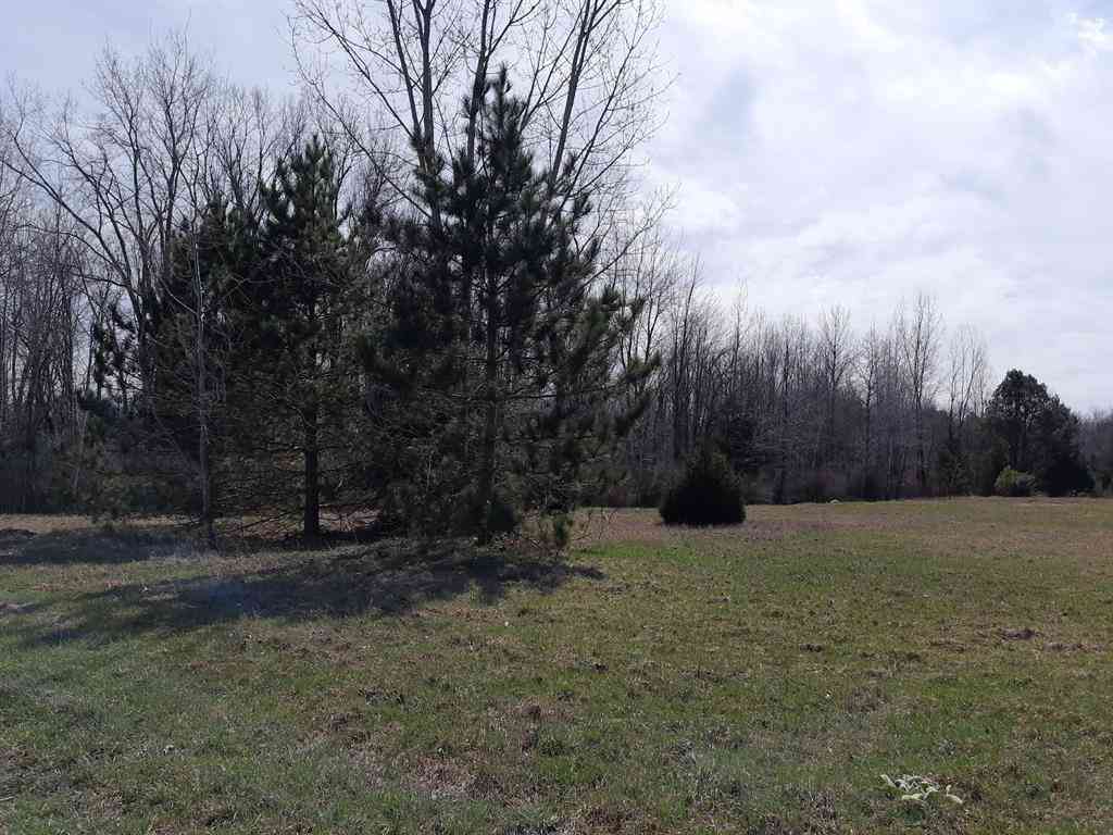 Vacant Land For Sale - VL State Road <br/> Vassar, MI 48768