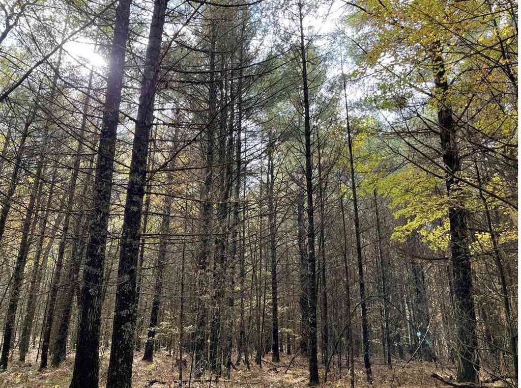 Vacant Land For Sale - 6159 S Forman Road <br/> Baldwin, MI 49304