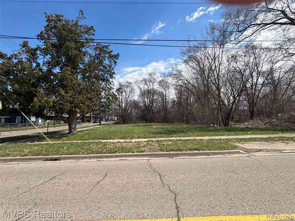 Vacant Land For Sale - 51 S South Paddock Street <br/> Pontiac, MI 48342