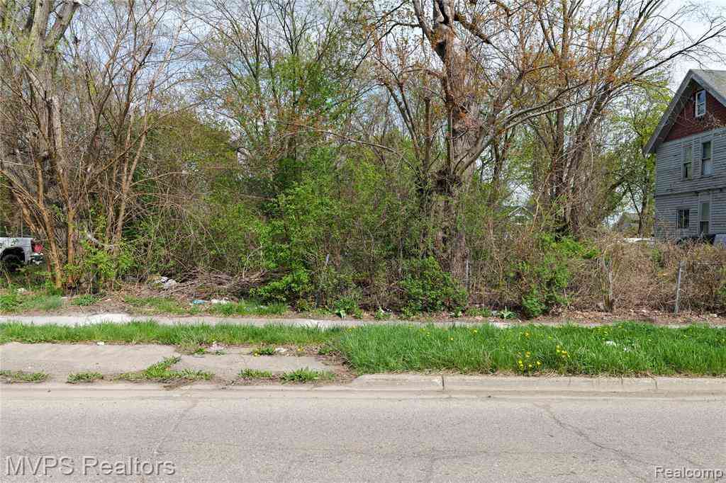 Vacant Land For Sale - 61 S South Paddock Street <br/> Pontiac, MI 48342
