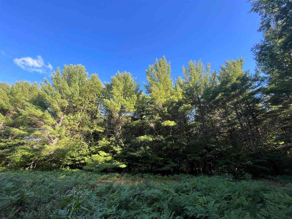 Vacant Land For Sale - 11856 Red Hawk  <br/> Fife Lake, MI 49633