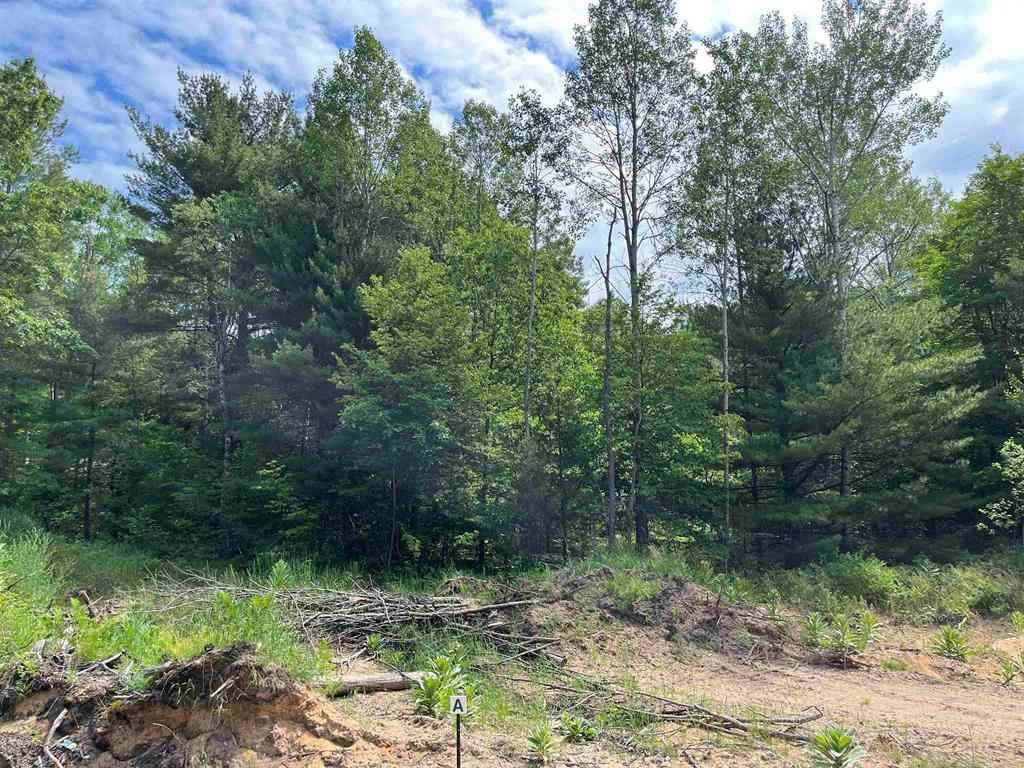 Vacant Land For Sale - PARCEL A Hoosier Flats Road <br/> Traverse City, MI 49685