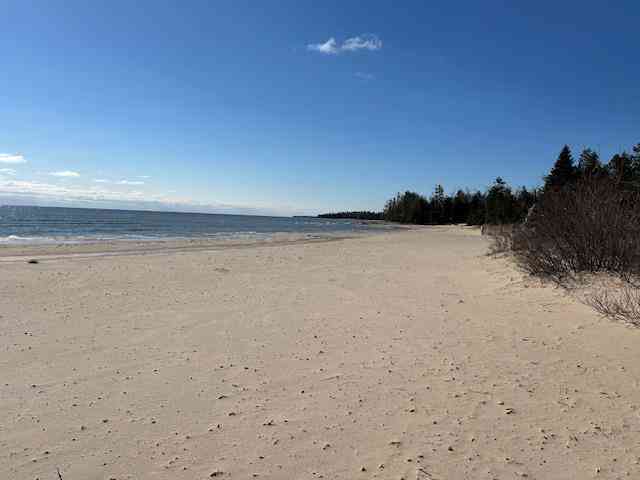 Vacant Land For Sale - 4546 N Lakeshore Drive <br/> Alcona County, Black River, MI 48721