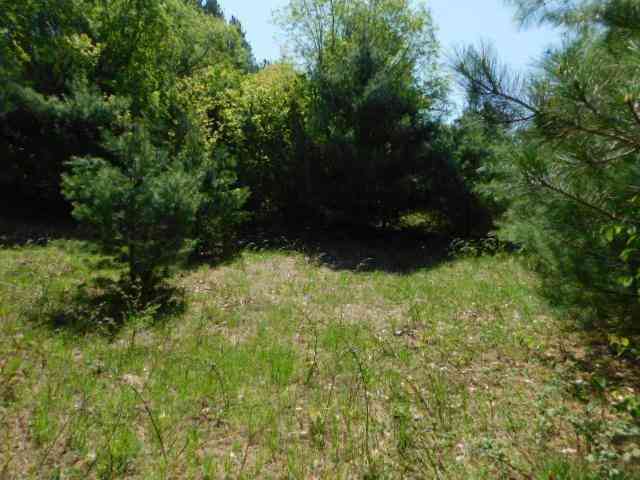 Vacant Land For Sale - N Wheeler Lake Road <br/> Kalkaska, MI 49646