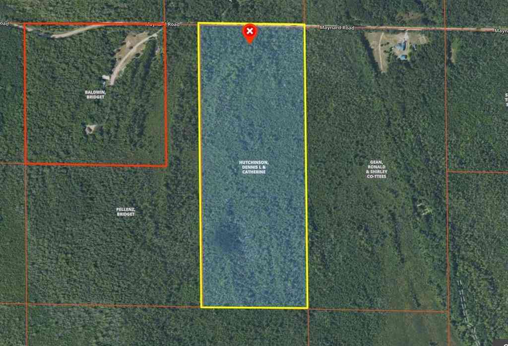 Vacant Land For Sale - Maynard Road <br/> Cheboygan, MI 49721