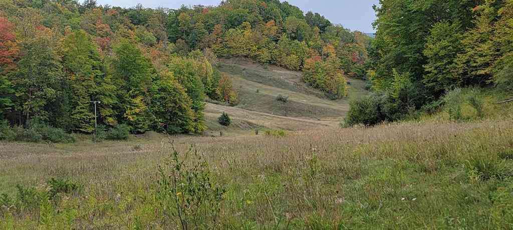 Vacant Land For Sale - LOT A N Crossover Drive <br/> Bellaire, MI 49615