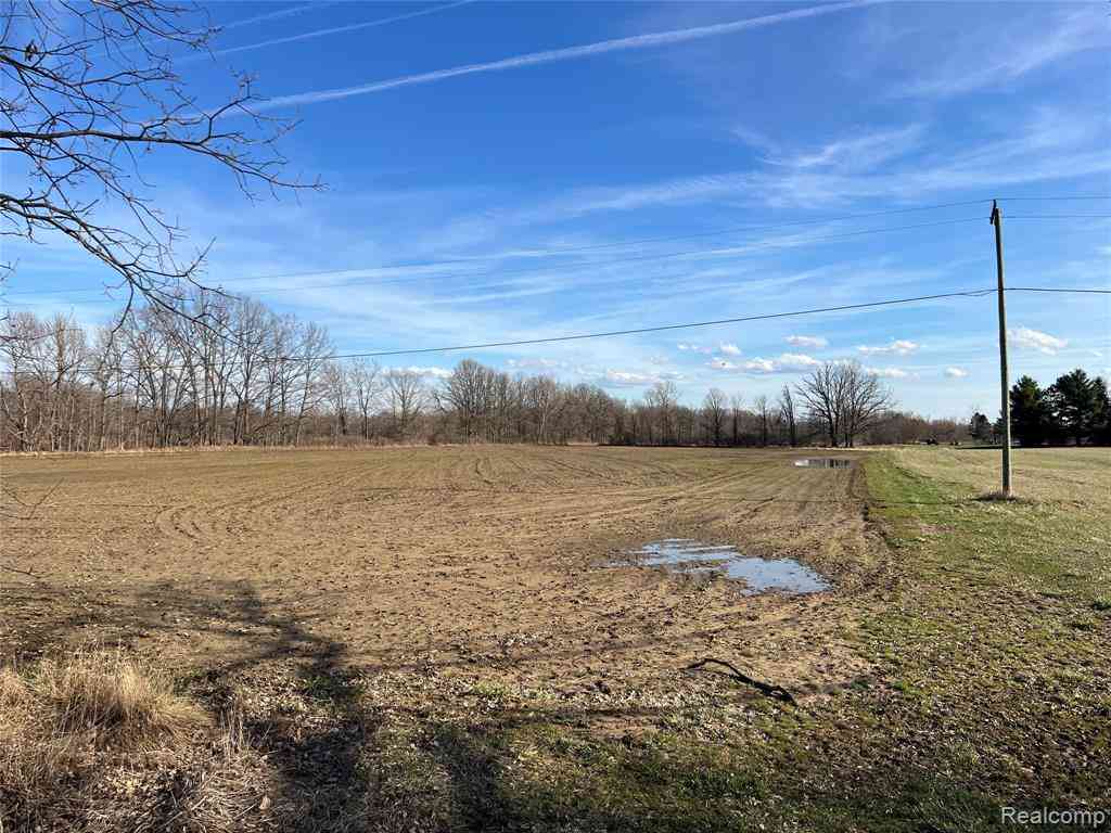 Vacant Land For Sale - 24.95 ACRES VACANT LAND Vernor Road <br/> Lapeer, MI 48446