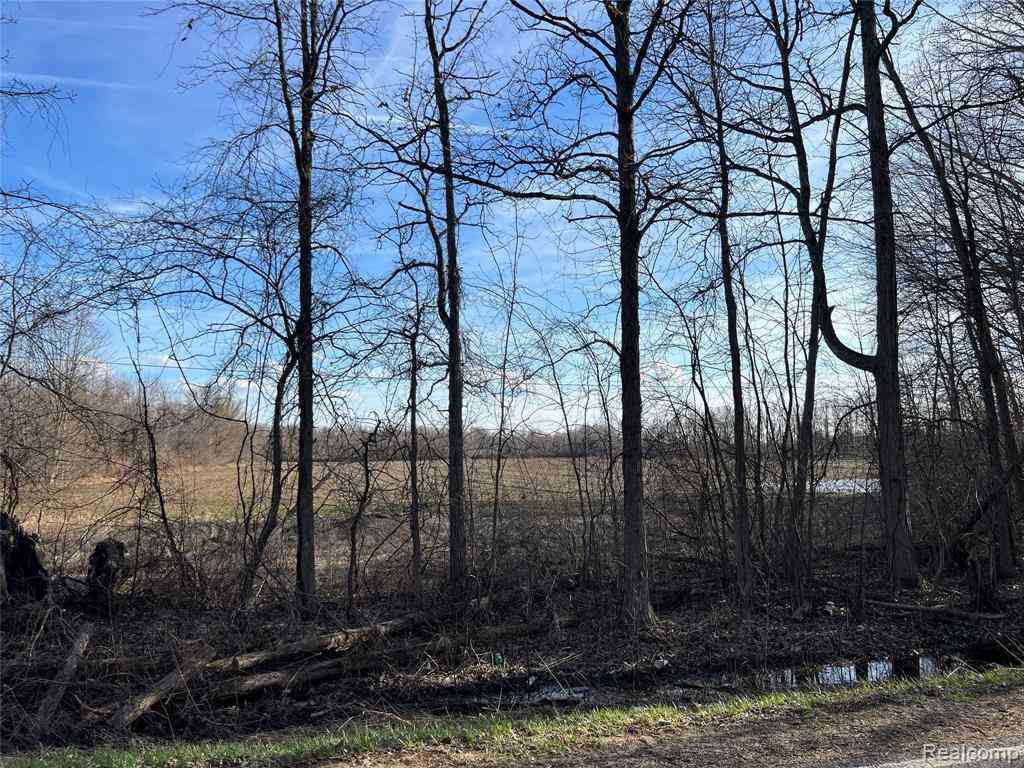Vacant Land For Sale - 10 ACRES VACANT LAND Vernor Road <br/> Lapeer, MI 48446