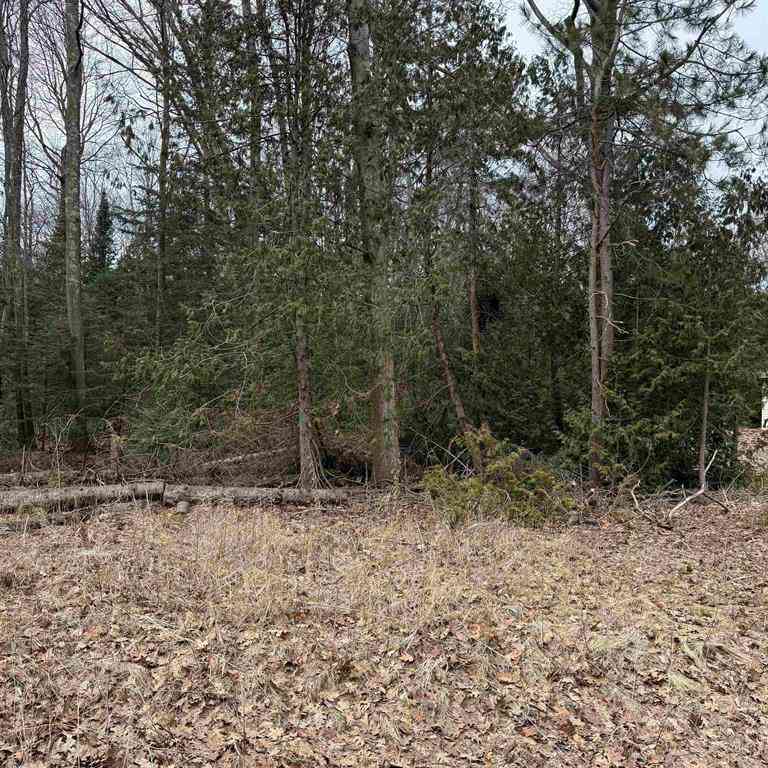 Vacant Land For Sale - Woodlea Road <br/> Oscoda, MI 48750