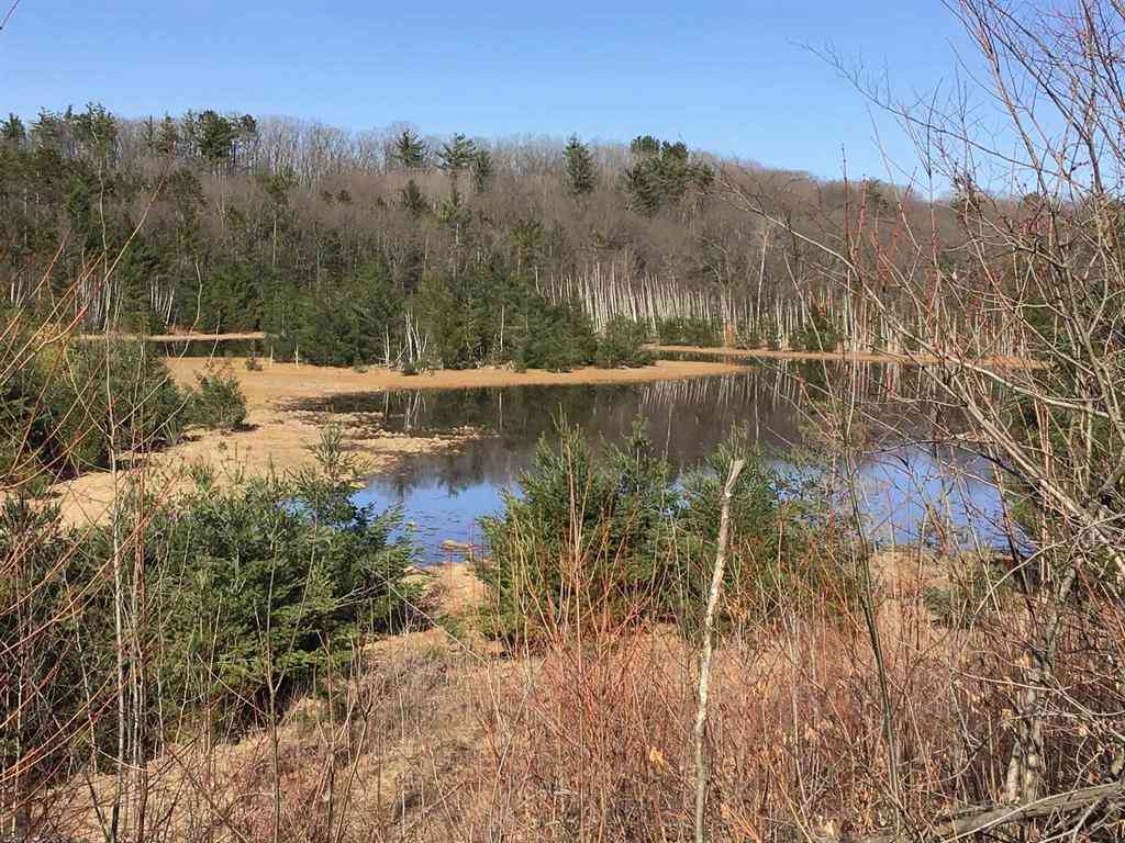 Vacant Land For Sale - 80 VL Mackinaw Trail <br/> Cadillac, MI 49601