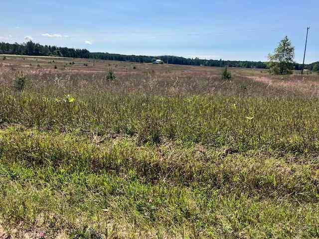 Vacant Land For Sale - F Walton Road <br/> Grand Traverse County County, Kingsley, MI 49649