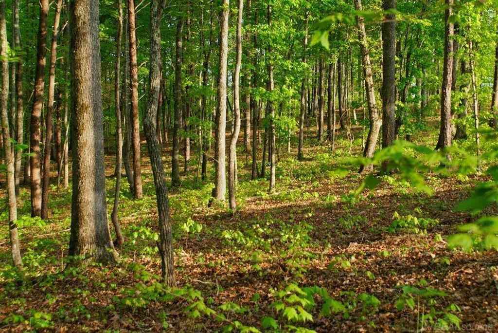 Vacant Land For Sale - 11261 21 Mile Road <br/> Shelby Twp, MI 48317