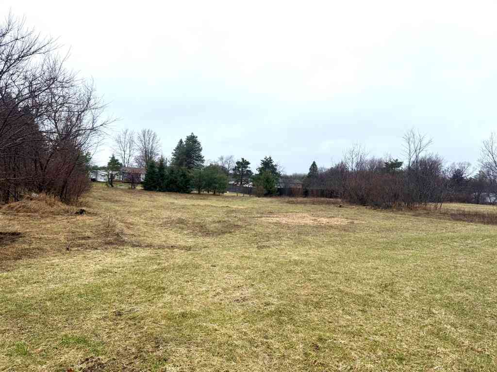 Vacant Land For Sale - 895 W Moore Street <br/> Mecosta, MI 49332