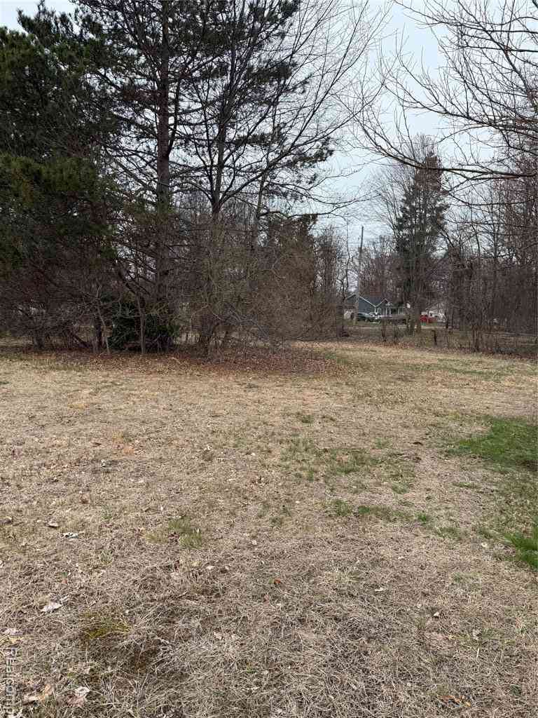 Vacant Land For Sale - LOT 51 PARK DR Park Drive <br/> Montrose, MI 48457
