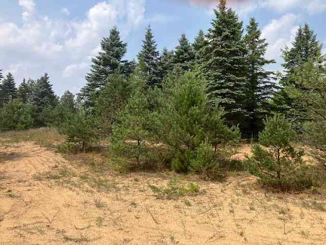 Vacant Land For Sale - PARCEL N 2 1/2 Road <br/> Buckley, MI 49620