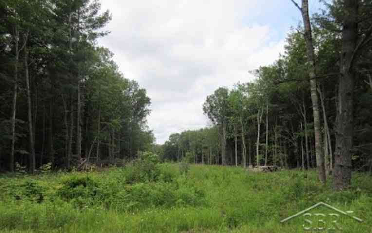 Vacant Land For Sale - 6923 Perrine Road <br/> Midland, MI 48642