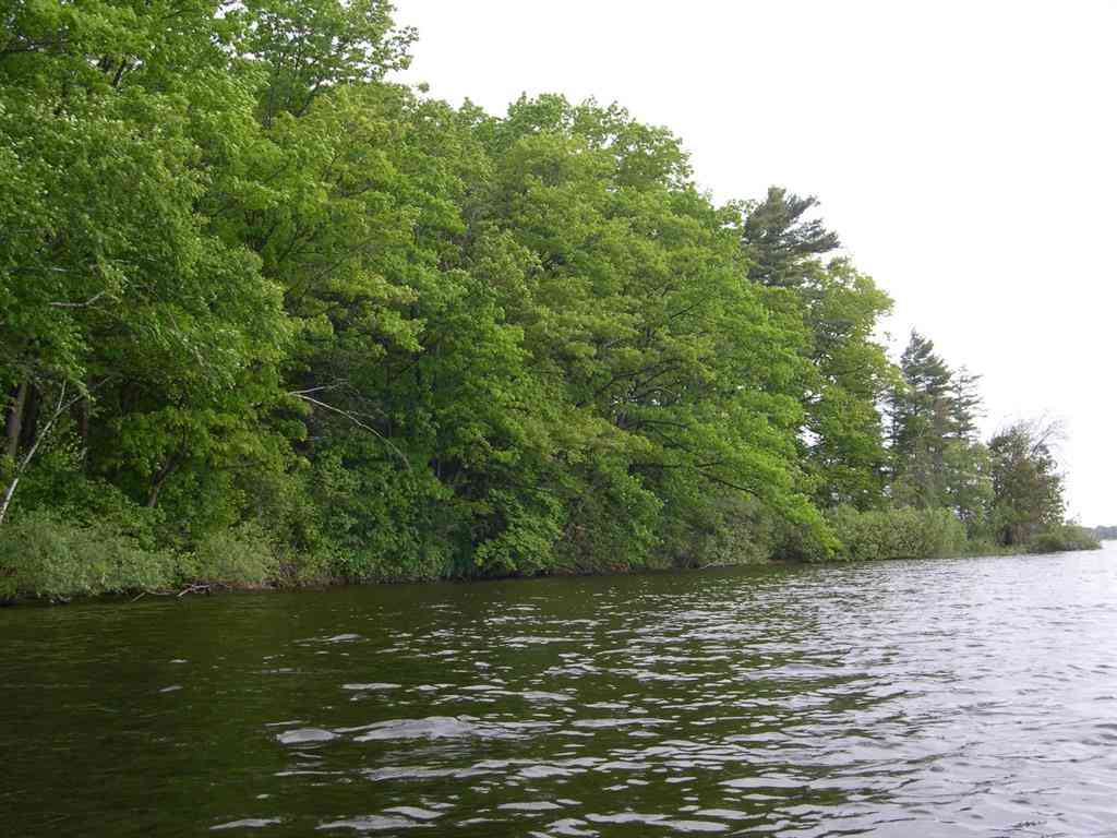 Vacant Land For Sale - 1573 Edgewater Ridge <br/> Traverse City, MI 49684