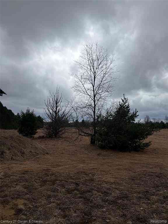 Vacant Land For Sale - 00000 SW Vroom Rd Sw  <br/> South Boardman, MI 49680