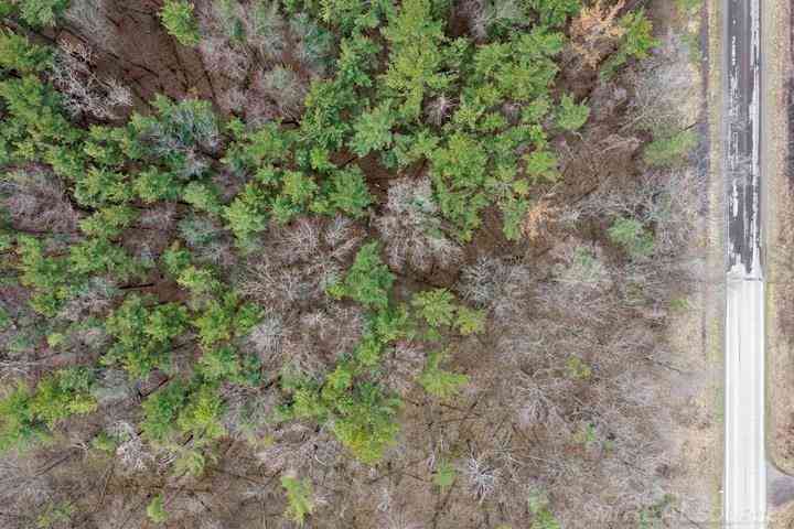Vacant Land For Sale - 00 E Southern Road <br/> Montgomery, MI 49255