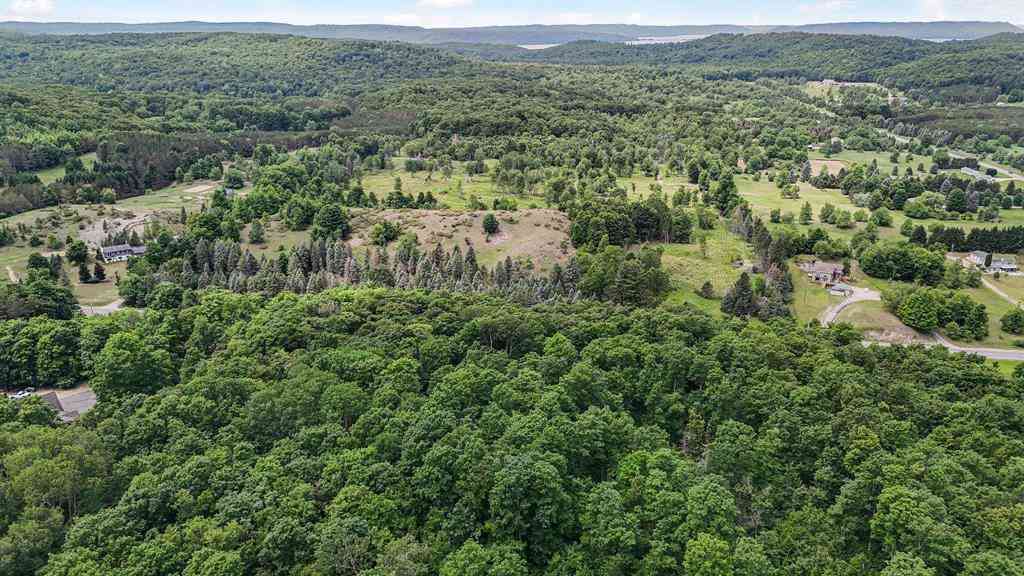 Vacant Land For Sale - V/L S Coleman Road <br/> Maple City, MI 49664