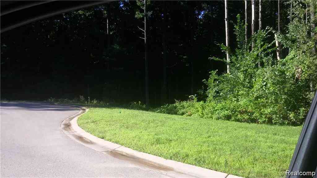 Vacant Land For Sale - 81 Mystic Pines Ct  <br/> Pinckney, MI 48169