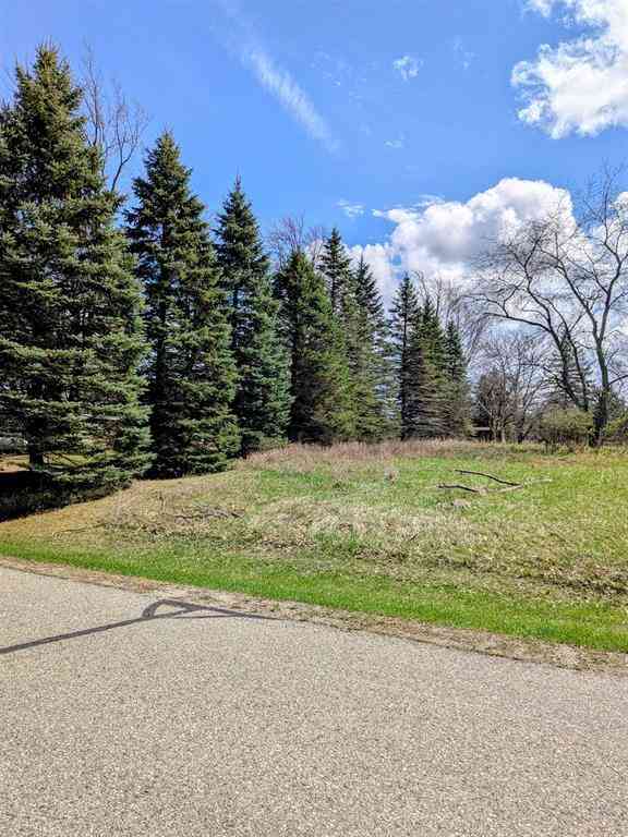 Vacant Land For Sale - 1095 Lincoln Drive <br/> Lake Isabella, MI 48893