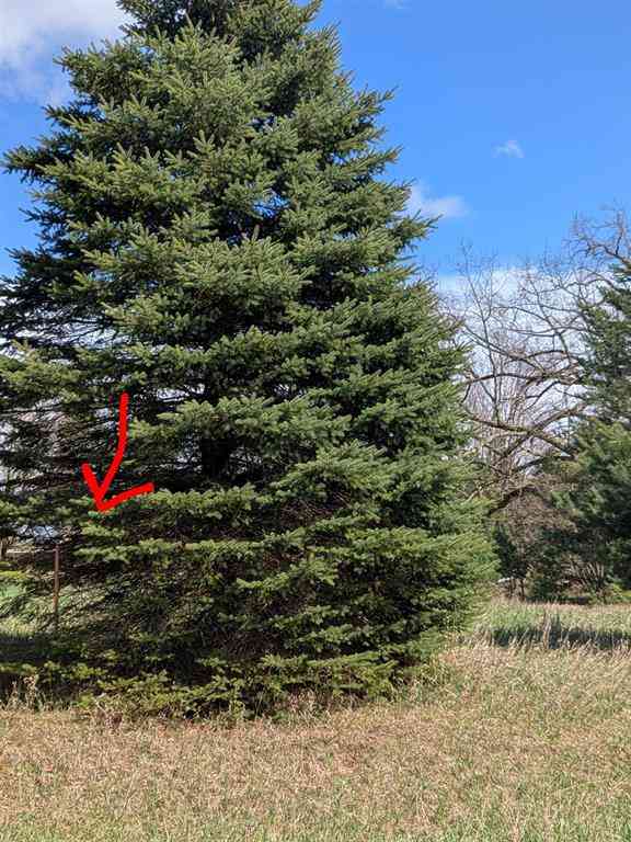 Vacant Land For Sale - 1003 Kent Street <br/> Lake Isabella, MI 48893